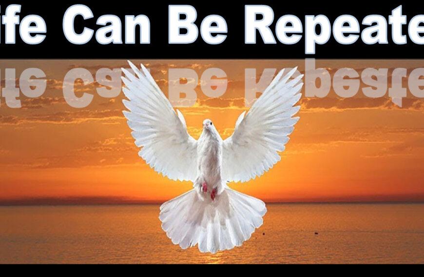 Life Can Be Repeated