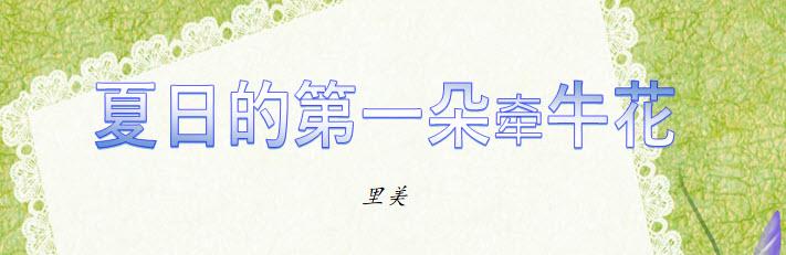 夏日的第一朵牵牛花