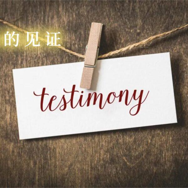 我的见证 (杨多立)