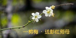 一剪梅 – 送彭红师母