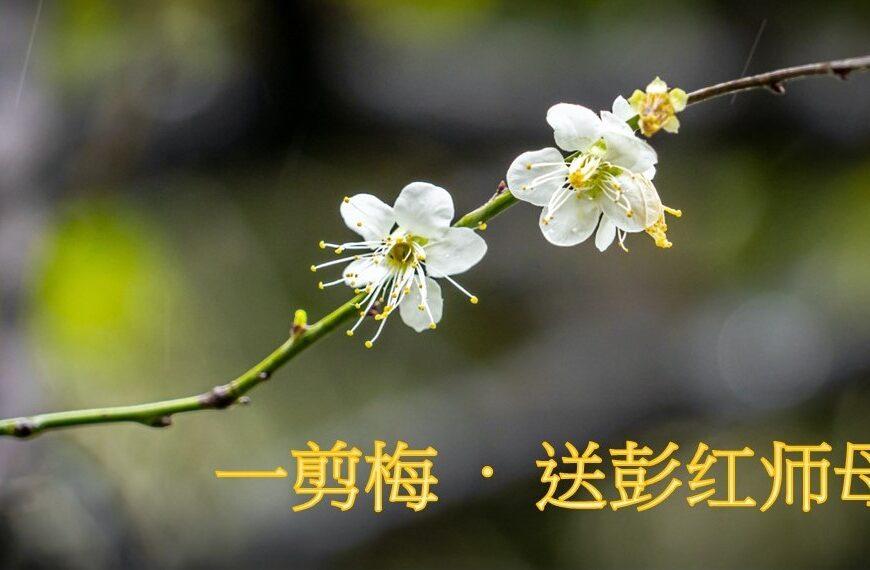 一剪梅 – 送彭红师母