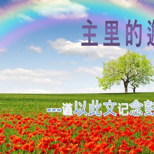 主里的邂逅