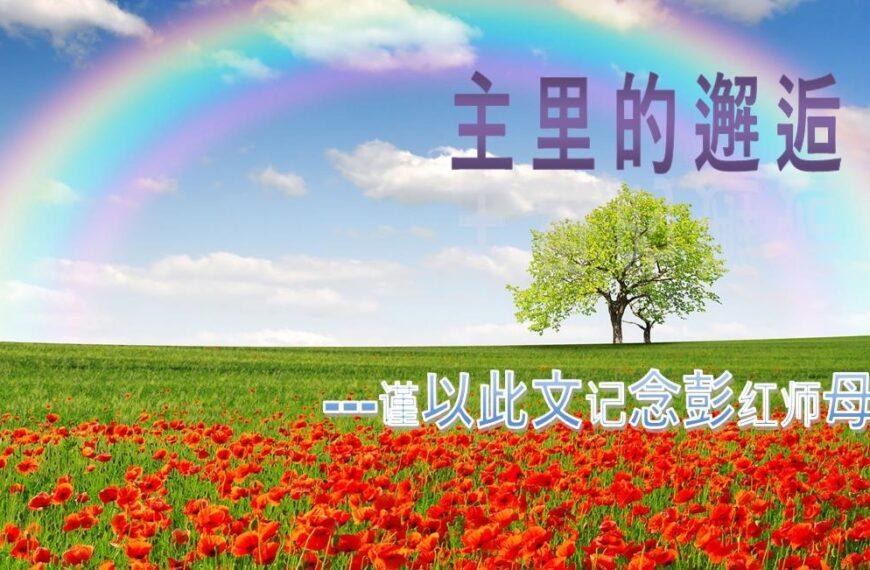 主里的邂逅