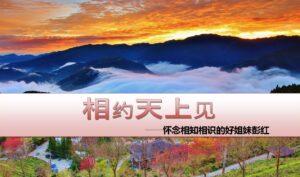相约天上见