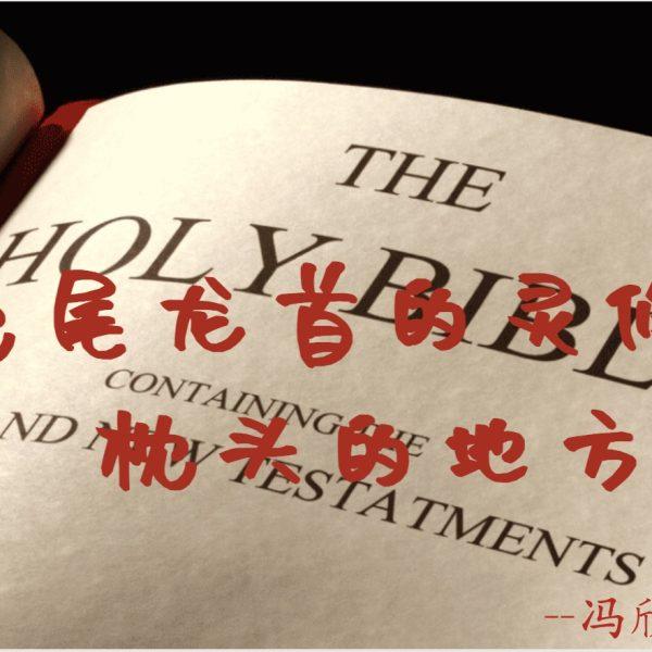 兔尾龙首的灵修：枕头的地方