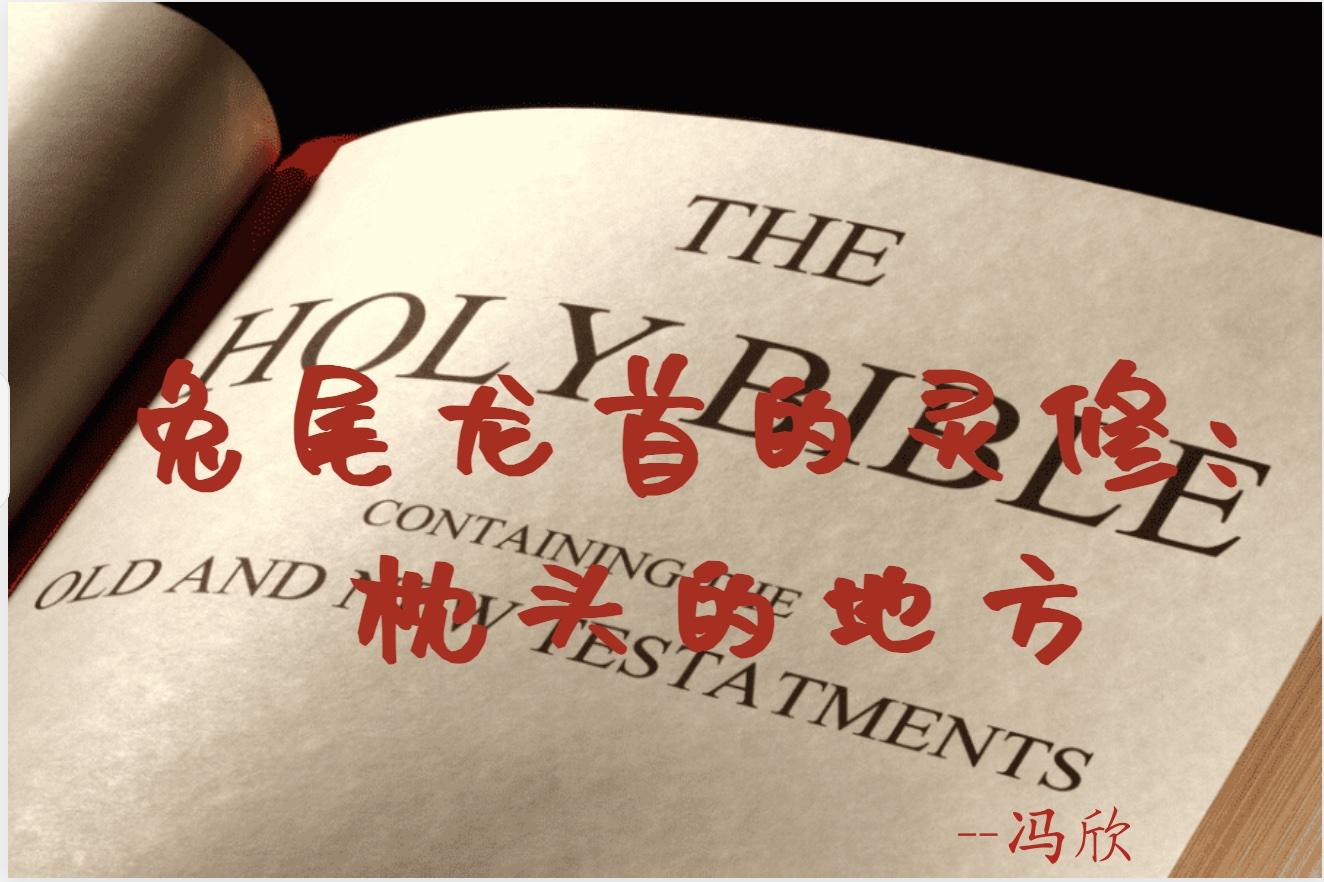 兔尾龙首的灵修：枕头的地方