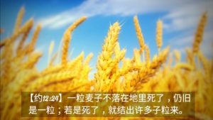 枪响之后