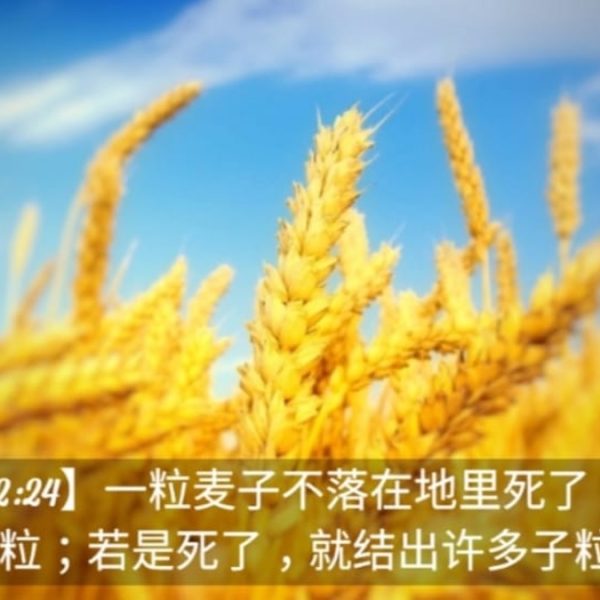 枪响之后