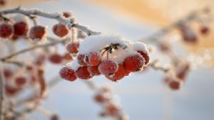 朱義熙牧師及師母感恩代祷信