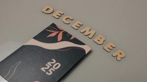 Zhu family Newsletter for December 2025