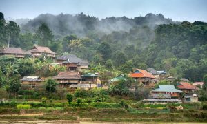 New Life Abounds in Southeast Asia