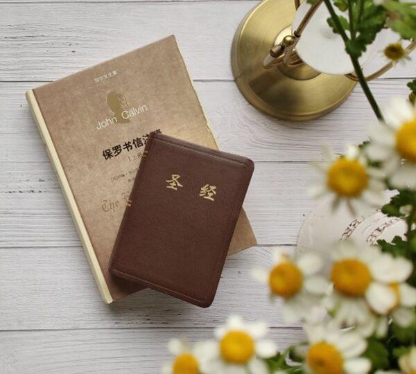 在彼此相处中活出福音生活(含音频)