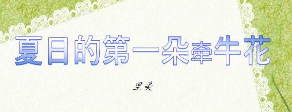 夏日的第一朵牵牛花